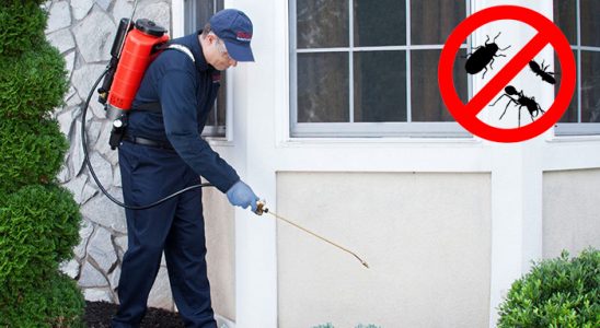 Kofçaz Gümüşkurt İlaçlama böcek ilaçlama ve haşere kontrolü — ilaclama-tr.com